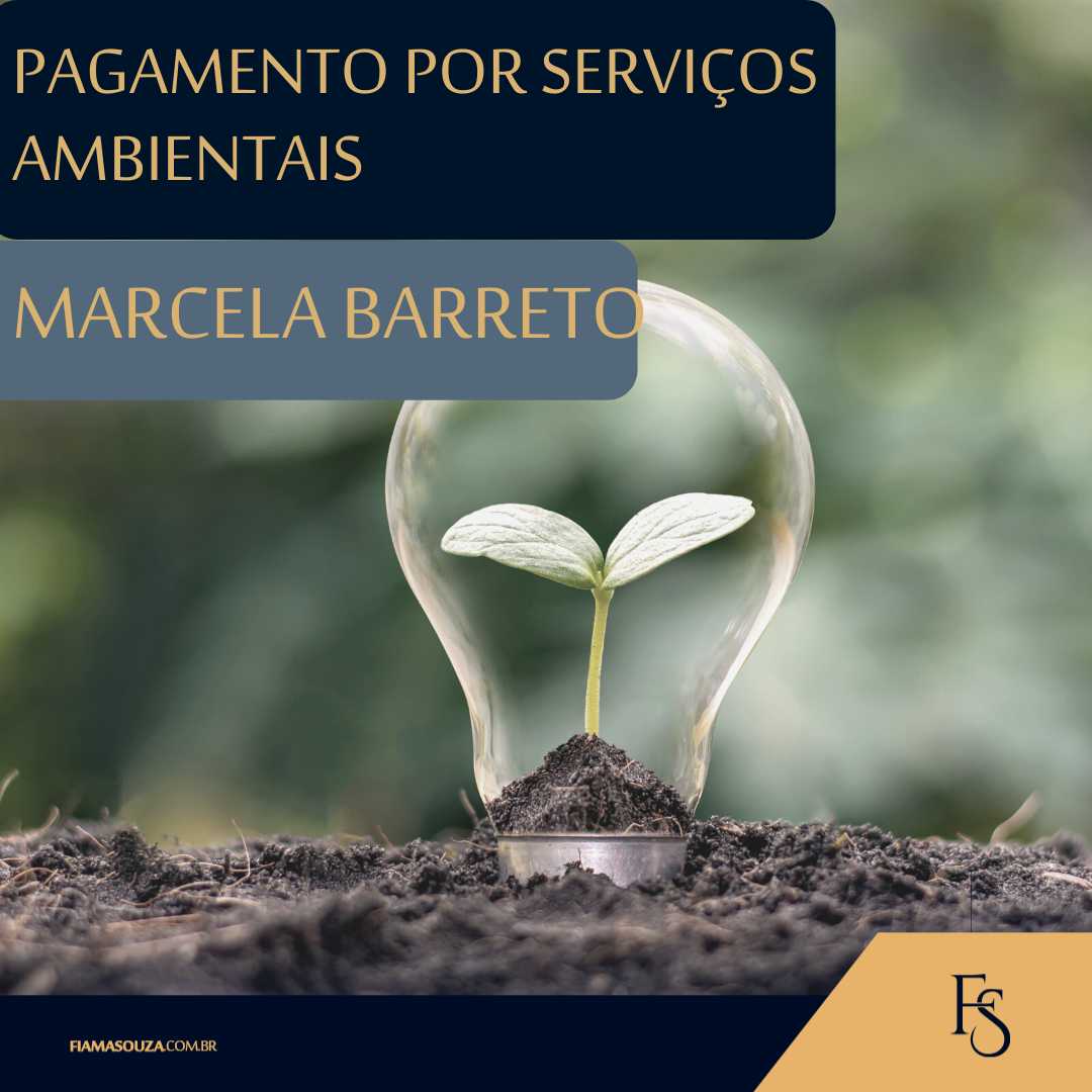 serviços ambientais