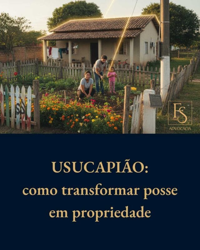 USUCAPIÃO: como transformar posse em propriedade