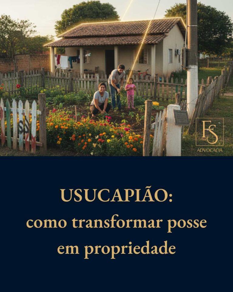 USUCAPIÃO: como transformar posse em propriedade
